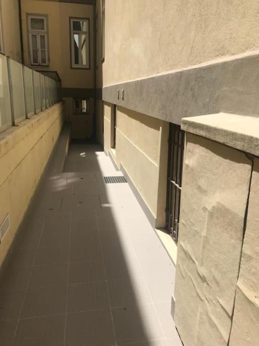 דירות פורטו Torrinha'S Backyard מראה חיצוני תמונה