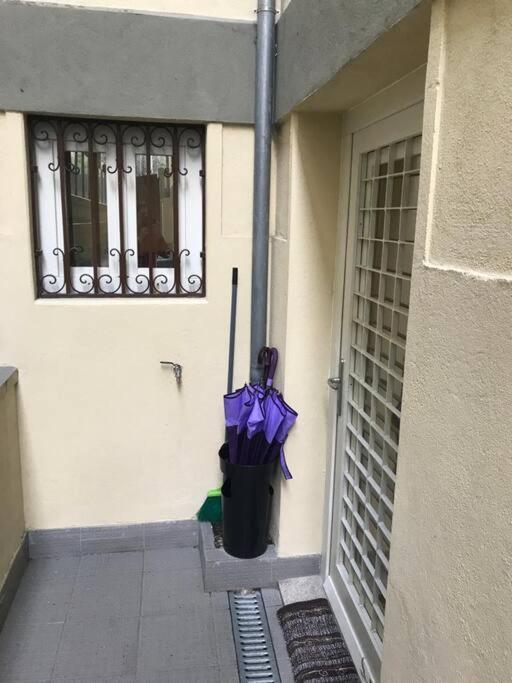 דירות פורטו Torrinha'S Backyard מראה חיצוני תמונה